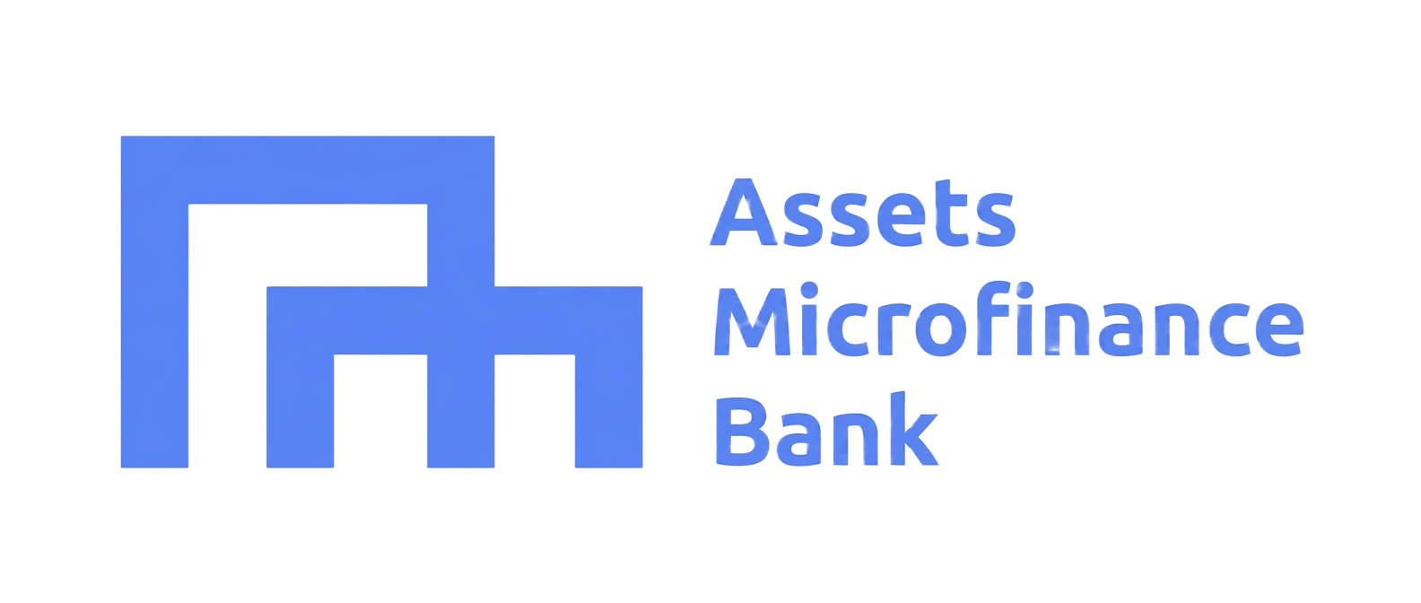 ASSETS MFB logo